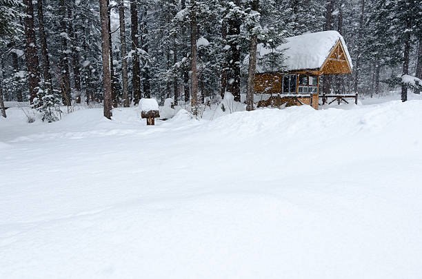 istock Mountain cabin in snowy forest, Changbai Mountains, China 503302452