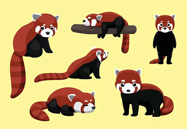 Vector illustration of Red Panda Poses Cartoon Vector Illustration