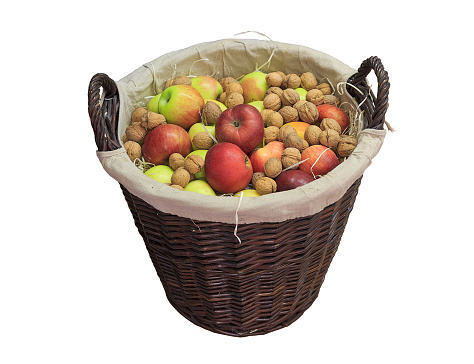 Apples and walnuts in a wicker basket isolated on white background