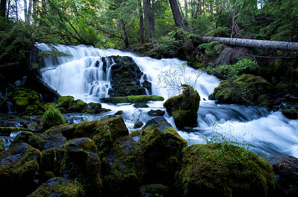 istock waterfall in woodland 503307376