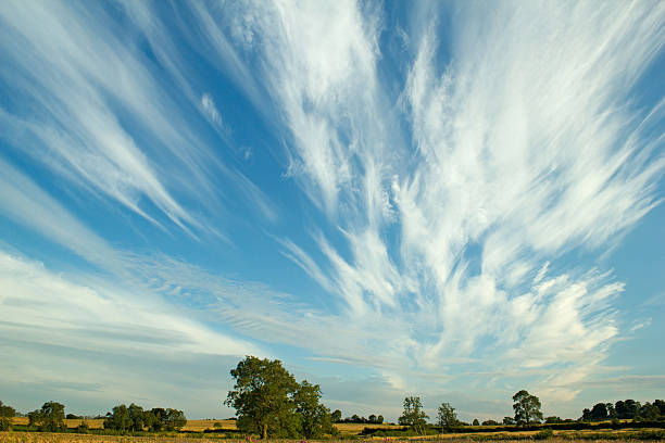 Cirrus clouds over farmland White cirrus clouds in a blue sky over farmland in Northamptonshire. cirrus photos stock pictures, royalty-free photos & images