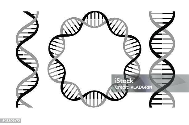 Dna Strands Stock Illustration - Download Image Now - DNA, Helix Model, Vector