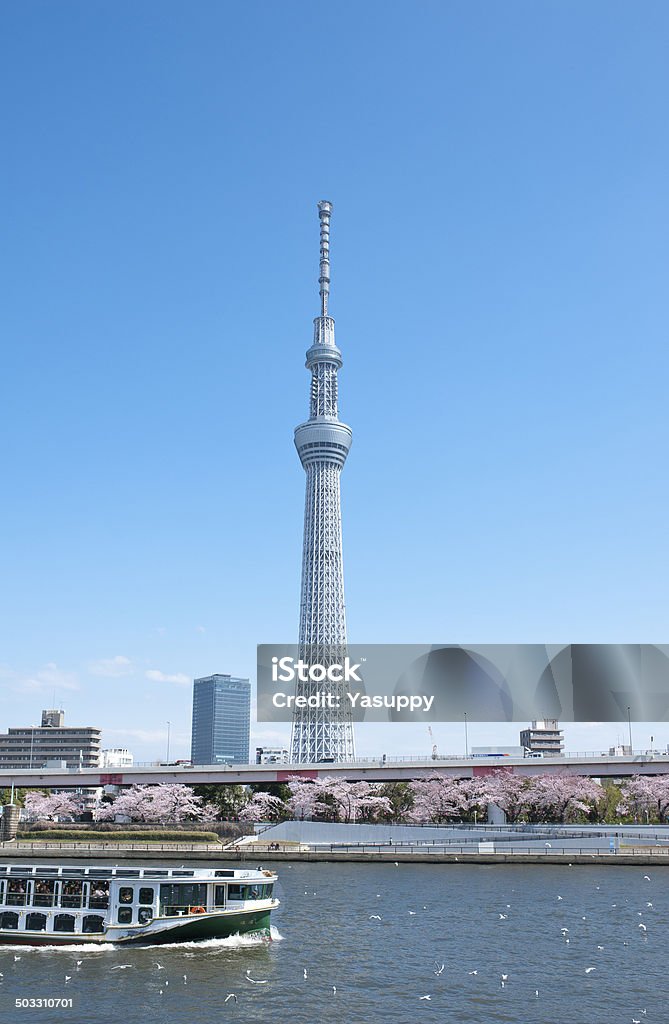 Torre Tokyo sky tree, Japón en la primavera. - Foto de stock de Aire libre libre de derechos