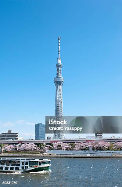 Torre Tokyo Sky Tree Japón En La Primavera Foto de stock y más banco de imágenes de Aire libre - Aire libre, Alto - Descripción física, Antena - Aparato de telecomunicación