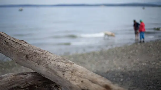 This image shows a beach scene with the 2 people and a golden retriever dog in the background out of focus and unrecognizeable.