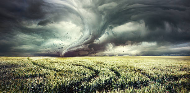 Tornado in countryside field Tornado in countryside field at dusk with dramatic sky hurricane storm photos stock pictures, royalty-free photos & images