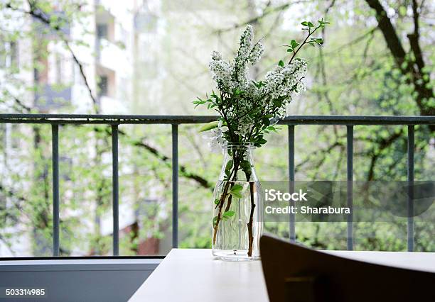 Branch Of Bird Cherry In Spring City Stock Photo - Download Image Now - Balcony, Beauty In Nature, Blossom