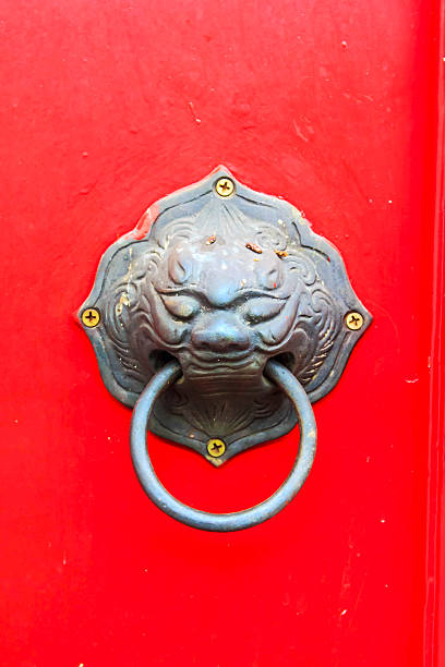 istock Tap door lion 503315639