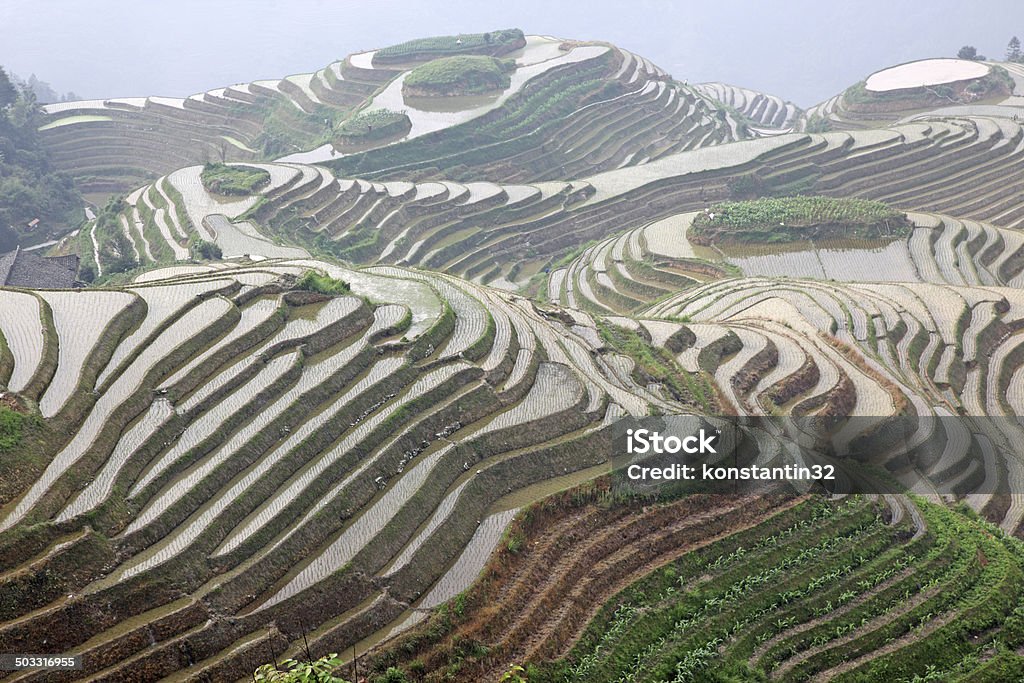 Longji rice terraces, Guangxi province, China Agriculture Stock Photo