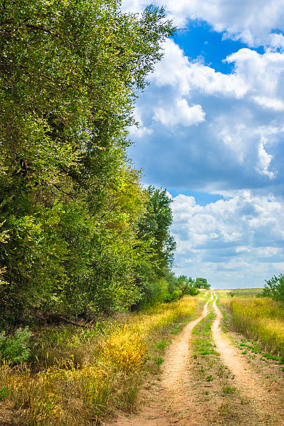 istock tree-lined West Texas meandering dirt road 503316999