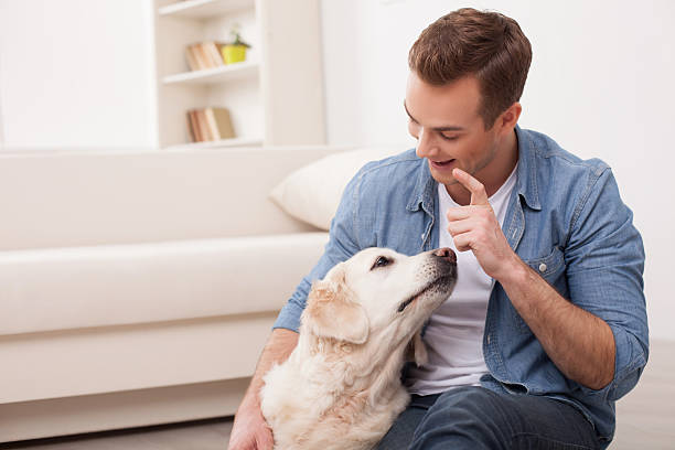 istock Cheerful guy is playing with his pet 503324020