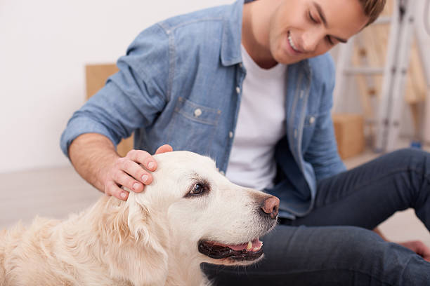 istock Attractive young guy is caressing his animal 503324072