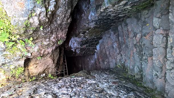 istock Cenote entrance 503326554