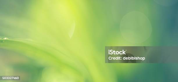 Dreamy Bokeh Natuare Background Green Yellow Stock Photo - Download Image Now - Defocused, Green Color, Abstract