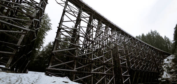 istock The Kinsol Trestle Panorama view 503327784