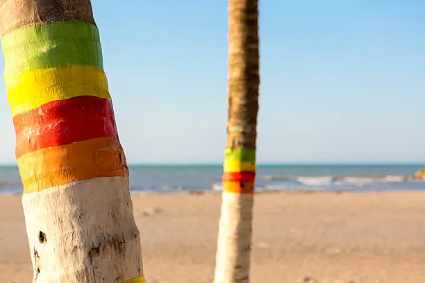 Reggae colors painted on palm trees on the beach of Riohacha, La Guajira, Colombia (Selective focus)