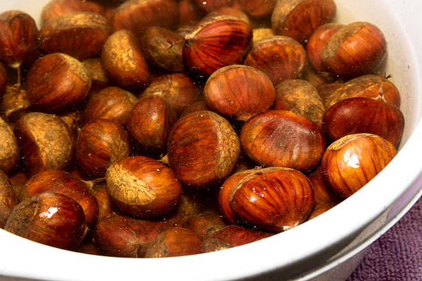 istock Chestnuts in the water 503331530