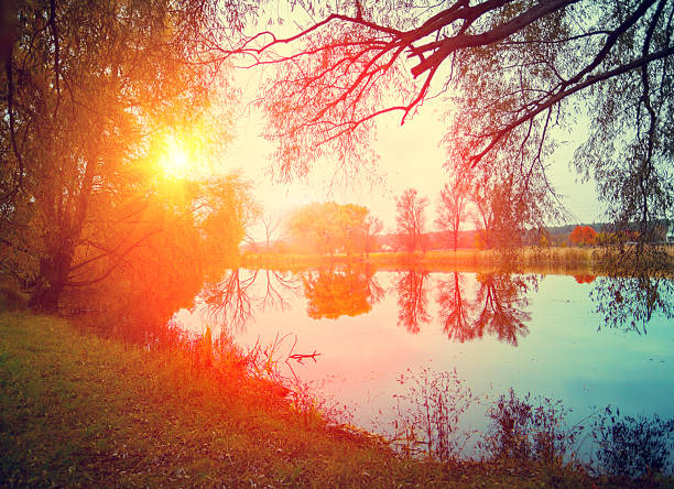 istock Rural landscape. Sunrise over lake 503332664