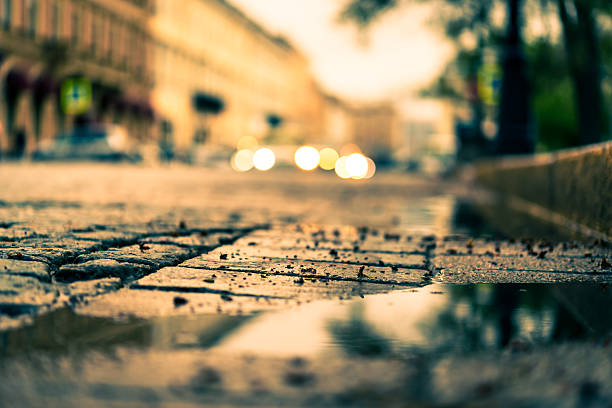 istock City central square paved with stone after a rain 503334122