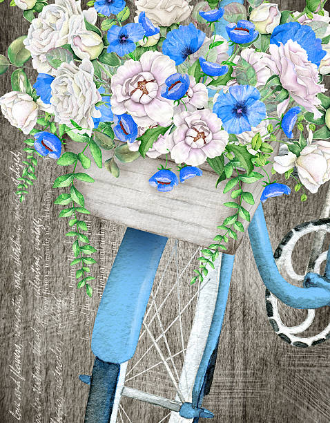 watercolor blue rower z kosz na piękne kwiaty na starym tle - english rose stock illustrations