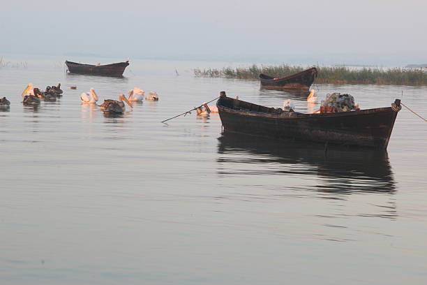 istock sunset ,boats ,sea and stork 503334462