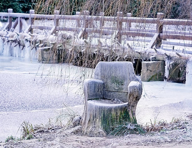istock Chair Carved in Wood 503335432