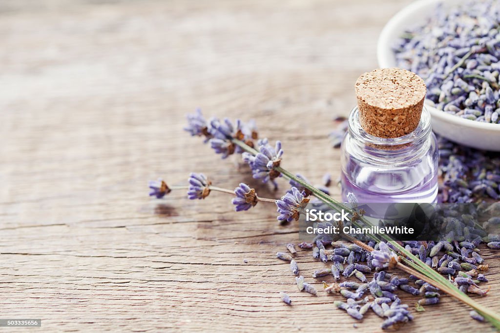 Essential lavender oil and dry lavender flowers. Essential lavender oil and dry lavender flowers. Selective focus. Aromatherapy Stock Photo