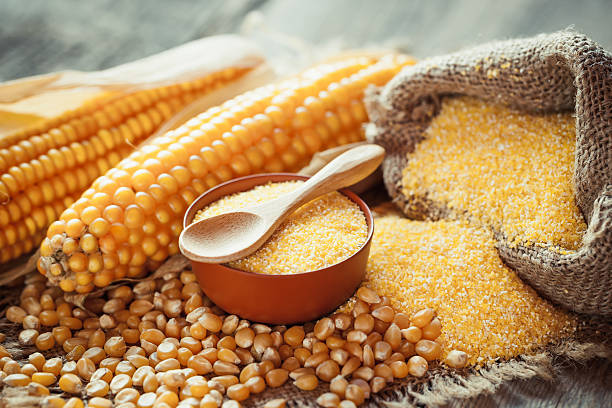 istock Corn groats and dry seeds, corncobs on wooden rustic table. 503335872