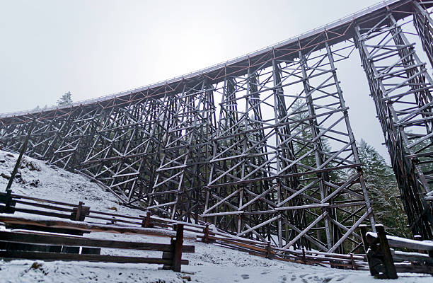istock The historic Kinsol railway Trestle 503336382