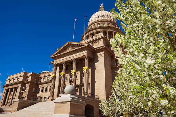 capitol edifício em boise e flores a desabrochar - idaho state capitol imagens e fotografias de stock