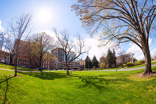 capitol boulevard de boise, idaho, eua - idaho state capitol imagens e fotografias de stock