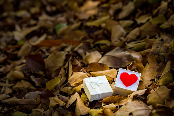 istock Gift box with heart on dry leaf, Valentine day 503337332