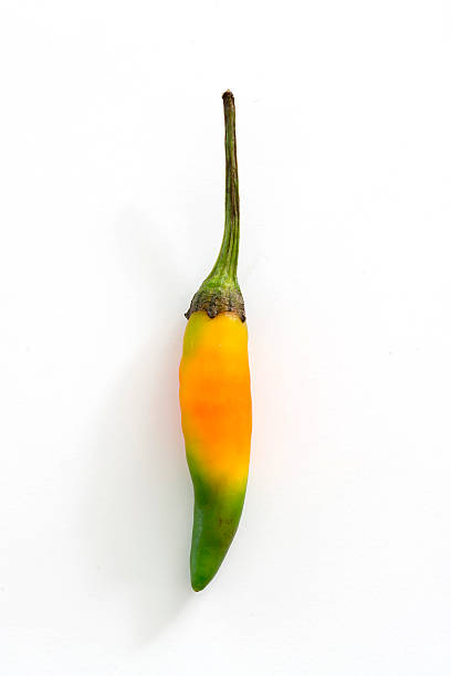 istock yellow and green hot chili pepper isolated 503340111
