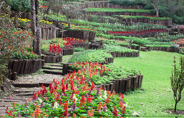 istock Public Gardens and Bushes greenery and flowers. 503340397