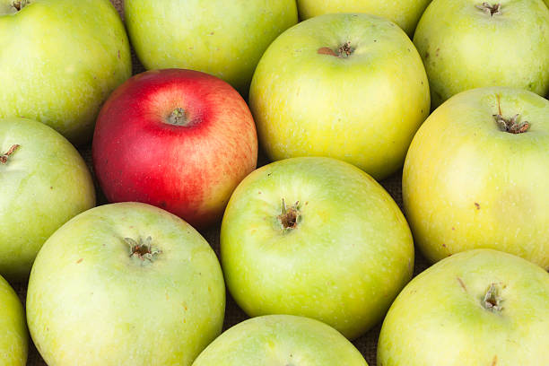 istock Red apple among green apples lying on sackcloth 503343093