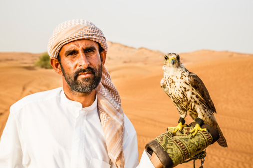 Dubai, United Arab Emirates - May 1, 2014: A bedouin posing for a photograph holding his trained falcon in desert near Dubai at safari dessert SUV trip stop.