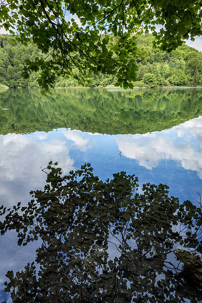 istock Plitvice Lakes National Park 503346167
