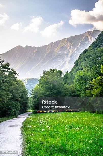 Foto de Beehives e mais fotos de stock de Alpes Julian - Alpes Julian, Alpes europeus, Beleza natural - Natureza
