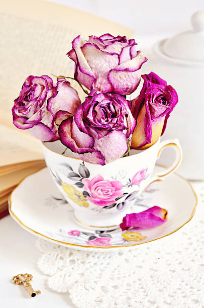 istock Vintage tea cup with dry roses on white background 503352510