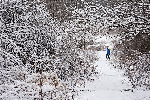 istock Walking through snowy wilderness in Minnesota 503353896