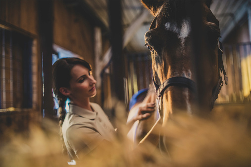 Young woman grooming a horse with a brush in a barn.