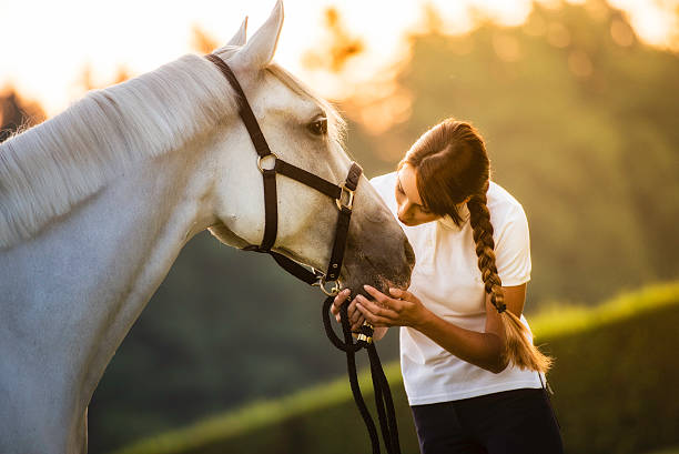 Woman kissing a horse on the head in nature Female horseback rider in nature holding and kissing a horses head. Trees and grass blurred in the background. bridle stock pictures, royalty-free photos & images