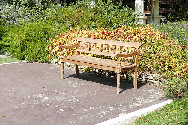 istock wooden bench in the park 503356394