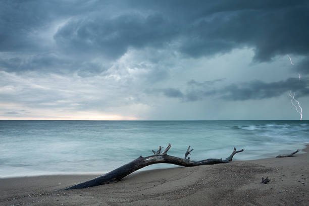istock Storm at Point Pelee National Park Ontario Canada 503359312