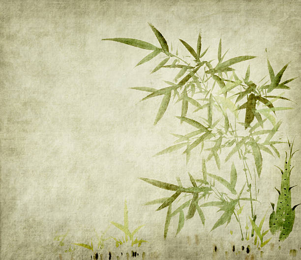 istock bamboo on old grunge paper texture background 503359764
