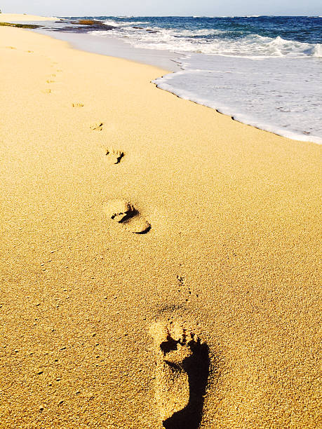 istock Footprints in golden sand beach on Kauai, Hawaii 503360234
