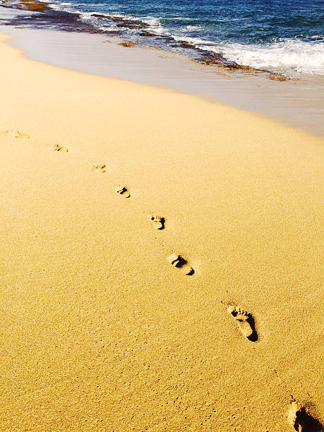 istock Footprints in golden sand beach on Kauai, Hawaii 503360312