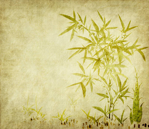 istock bamboo on old grunge paper texture background 503360314