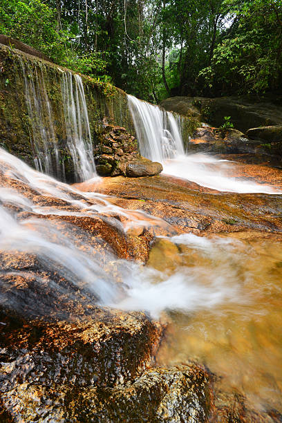 istock Beautiful waterfall in rain forest. 503362960