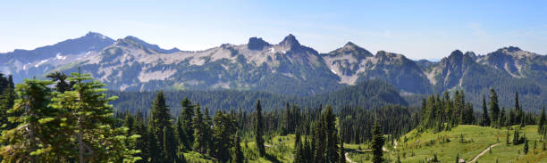 istock Panorama view to Tatoosh Range, Mt Rainier National park 503363516